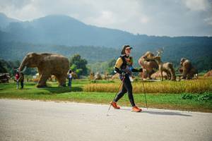 BIB: 
                            <button type="button" onclick="openModal(22434441)" class="btn btn-primary btn-sm float-right btn-popup" data-toggle="modal" data-target=".modal-high-quality">
                        <i class="fas fa-shopping-cart"></i> Add to Cart
                    </button>
                                            <button type="button" onclick="isThisMe(22434441, true)" class="btn btn-success btn-sm float-right btn-popup btn-isme hidden" data-toggle="tooltip" data-placement="bottom" title="นี่คือรูปของคุณใช่ไหม คลิกที่นี่เพื่อเอาเข้าอัลบั้ม">
                        <i class="fas fa-plus"></i> Add to album
                    </button>
                    <button type="button" onclick="isThisMe(22434441, false)" class="btn btn-warning btn-sm float-right btn-popup btn-isnotme hidden">
                        <i class="fas fa-ban"></i> Remove from album
                    </button>